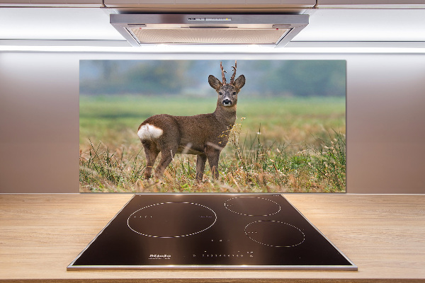 Rivestimento parete cucina con finitura Roe