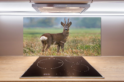 Rivestimento parete cucina con finitura Roe