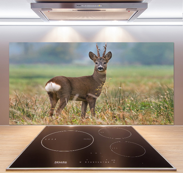 Rivestimento parete cucina con finitura Roe