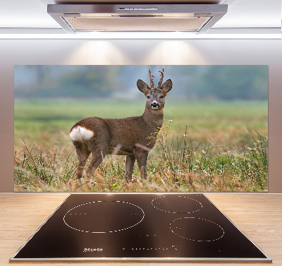 Rivestimento parete cucina con finitura Roe