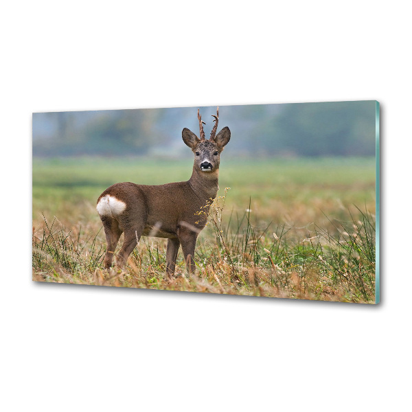 Rivestimento parete cucina con finitura Roe