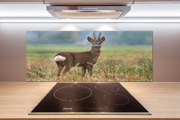 Rivestimento parete cucina con finitura Roe