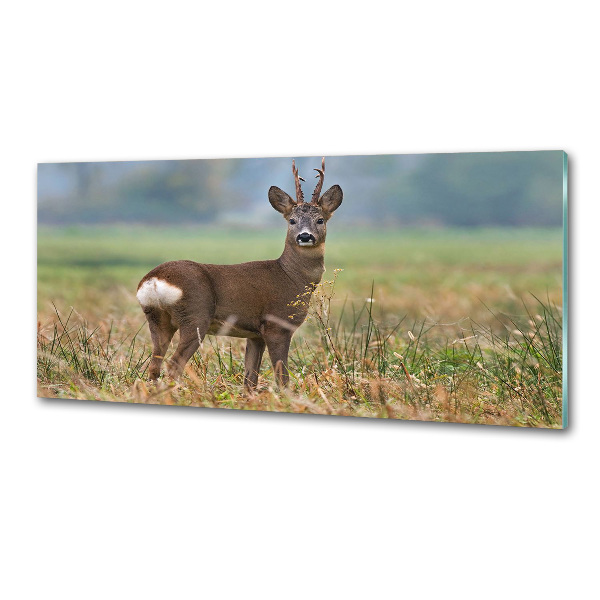 Rivestimento parete cucina con finitura Roe