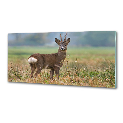 Rivestimento parete cucina con finitura Roe