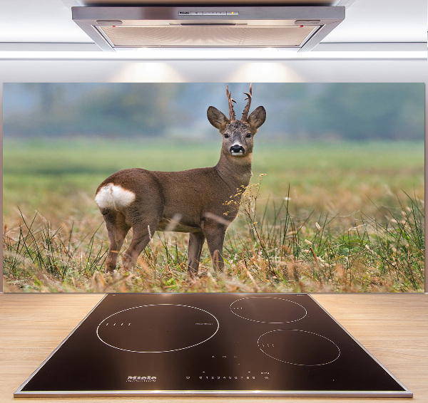 Rivestimento parete cucina con finitura Roe