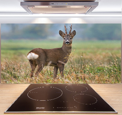 Rivestimento parete cucina con finitura Roe