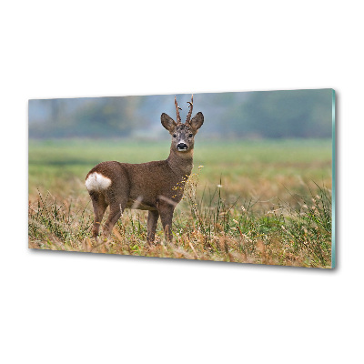 Rivestimento parete cucina con finitura Roe