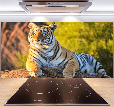 Pannello retrocucina con stampa raffigurante un ritratto di tigre