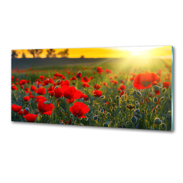 Rivestimento parete cucina con motivo a campo di papaveri