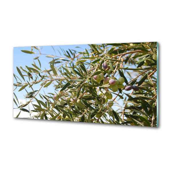 Pannello retrocucina con finitura olivo