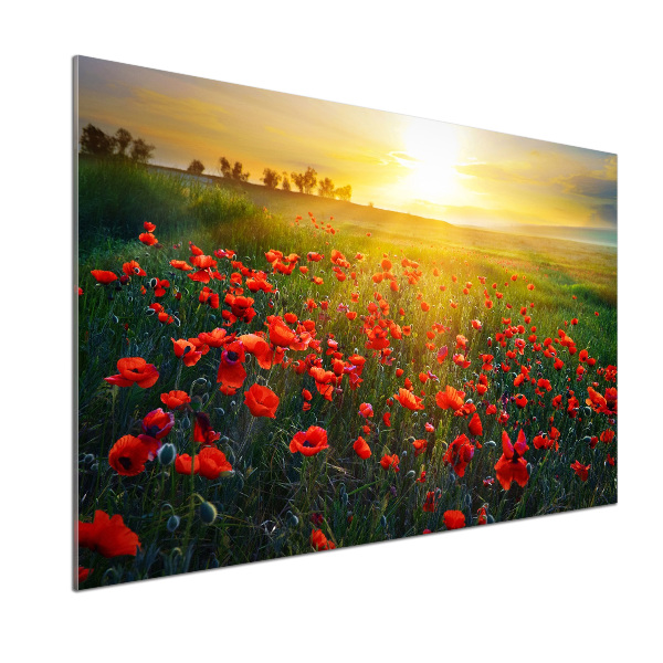 Pannello retrocucina con motivo a campo di papaveri