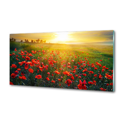 Pannello retrocucina con motivo a campo di papaveri