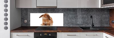 Pannello retrocucina con motivo coniglio rosso