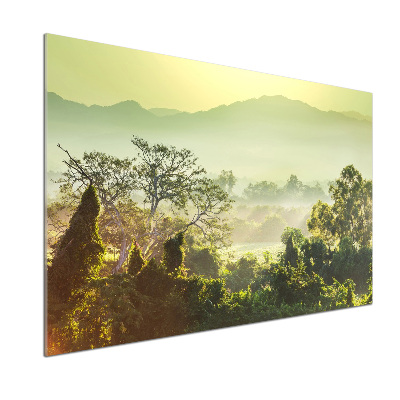 Pannello retrocucina con motivi a tema giungla