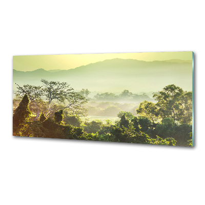 Pannello retrocucina con motivi a tema giungla