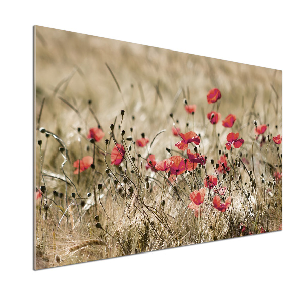 Pannello retrocucina con motivo papaveri