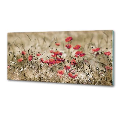 Pannello retrocucina con motivo papaveri