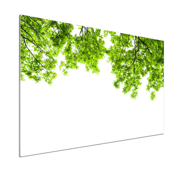 Rivestimento parete cucina con motivo a foglie di quercia