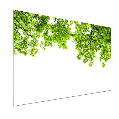 Rivestimento parete cucina con motivo a foglie di quercia