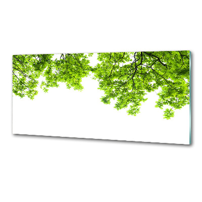 Rivestimento parete cucina con motivo a foglie di quercia