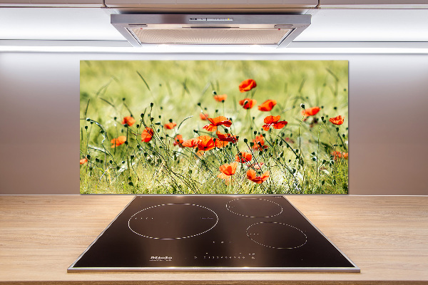 Pannello retrocucina con motivo di papaveri