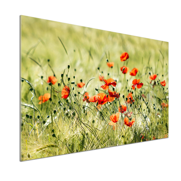 Pannello retrocucina con motivo di papaveri