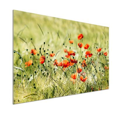 Pannello retrocucina con motivo di papaveri