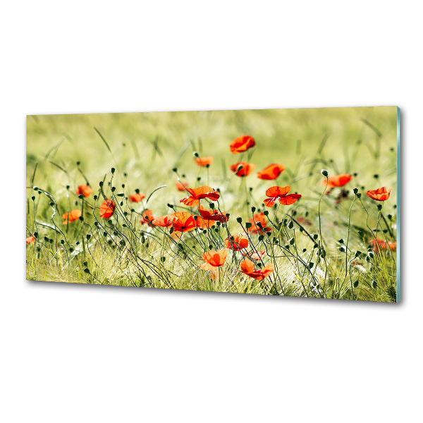 Pannello retrocucina con motivo di papaveri