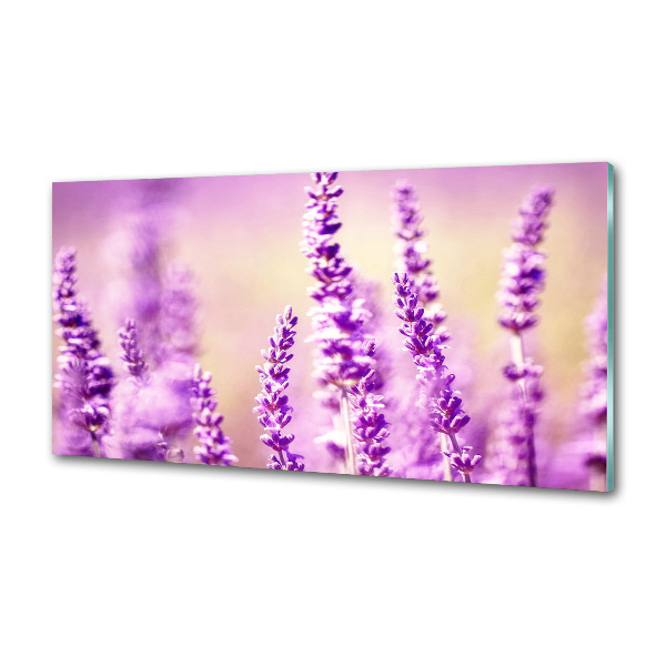 Pannello paraschizzi cucina con motivo lavanda