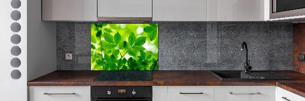 Pannello paraschizzi cucina con motivo a foglie verdi