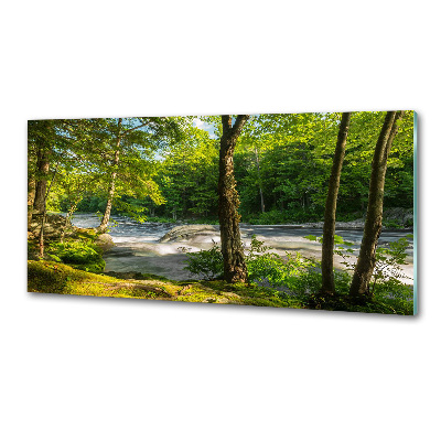 Pannello retrocucina con stampa del fiume nella foresta