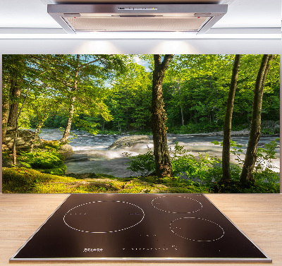 Pannello retrocucina con stampa del fiume nella foresta