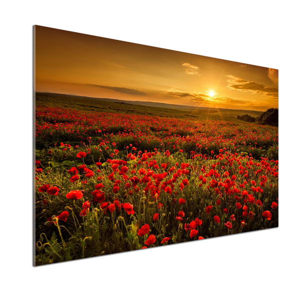 Pannello paraschizzi cucina con stampa a tema campo di papaveri