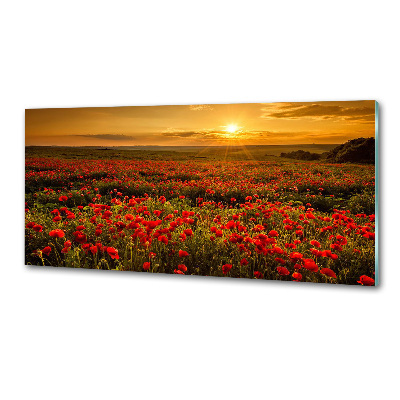 Pannello paraschizzi cucina con stampa a tema campo di papaveri