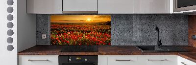 Pannello paraschizzi cucina con stampa a tema campo di papaveri