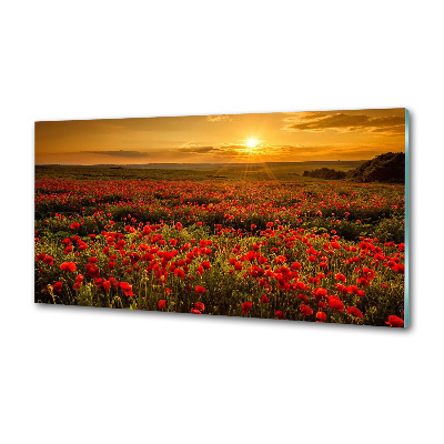 Pannello paraschizzi cucina con stampa a tema campo di papaveri