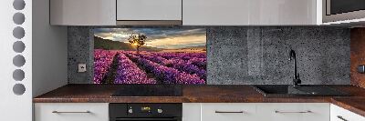 Rivestimento parete cucina con motivo a campo di lavanda