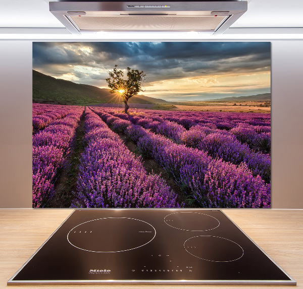 Rivestimento parete cucina con motivo a campo di lavanda