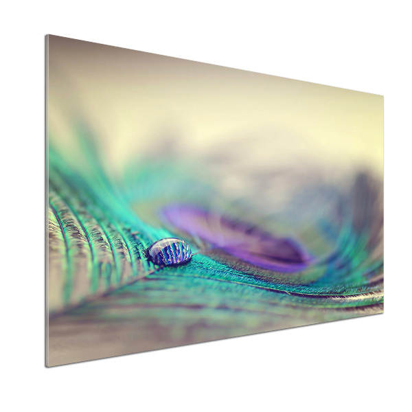 Pannello paraschizzi cucina con motivo «Una goccia su una piuma»