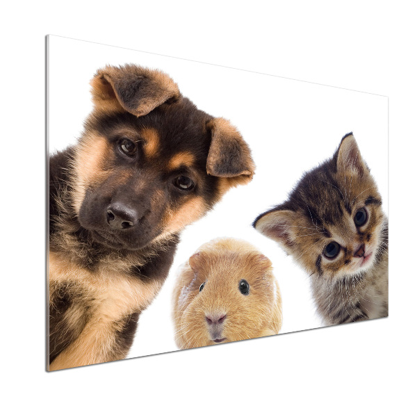 Rivestimento parete cucina con motivo a tema animali domestici