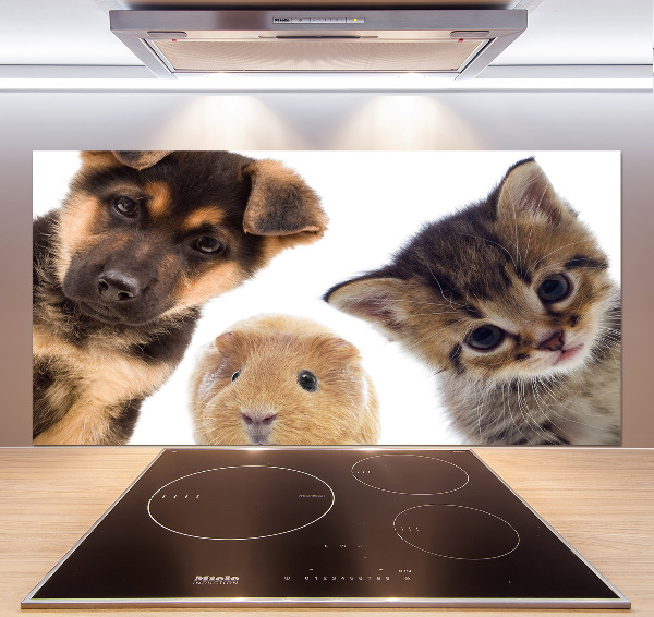 Rivestimento parete cucina con motivo a tema animali domestici