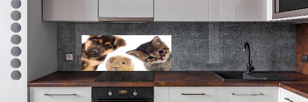 Rivestimento parete cucina con motivo a tema animali domestici