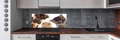 Rivestimento parete cucina con motivo a tema animali domestici