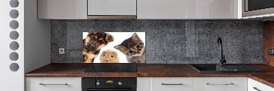 Rivestimento parete cucina con motivo a tema animali domestici