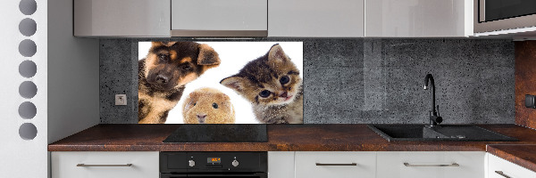 Rivestimento parete cucina con motivo a tema animali domestici