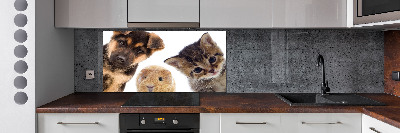Rivestimento parete cucina con motivo a tema animali domestici