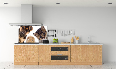 Rivestimento parete cucina con motivo a tema animali domestici