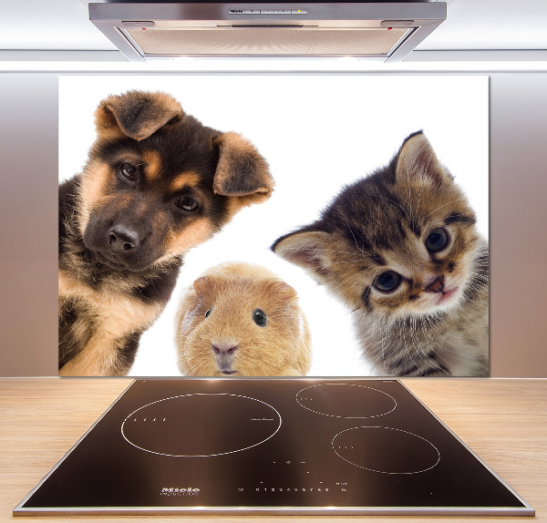 Rivestimento parete cucina con motivo a tema animali domestici