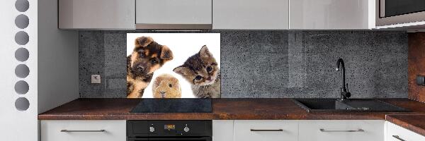 Rivestimento parete cucina con motivo a tema animali domestici
