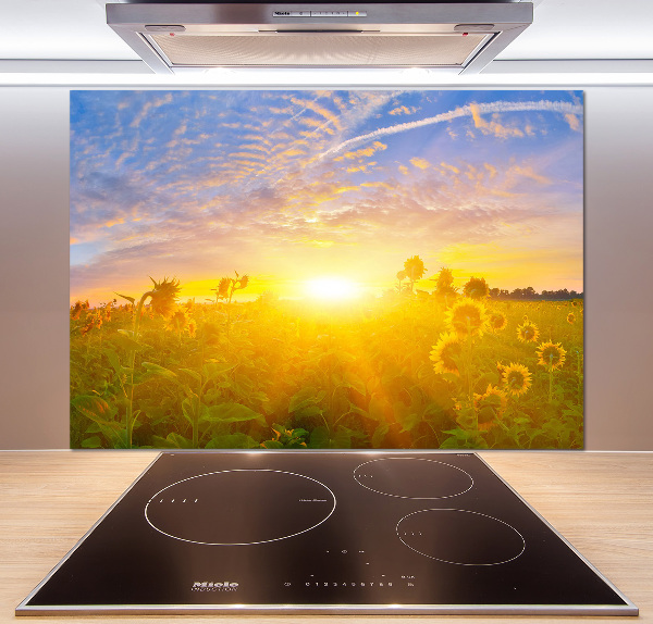 Pannello retrocucina con stampa raffigurante un campo di girasoli